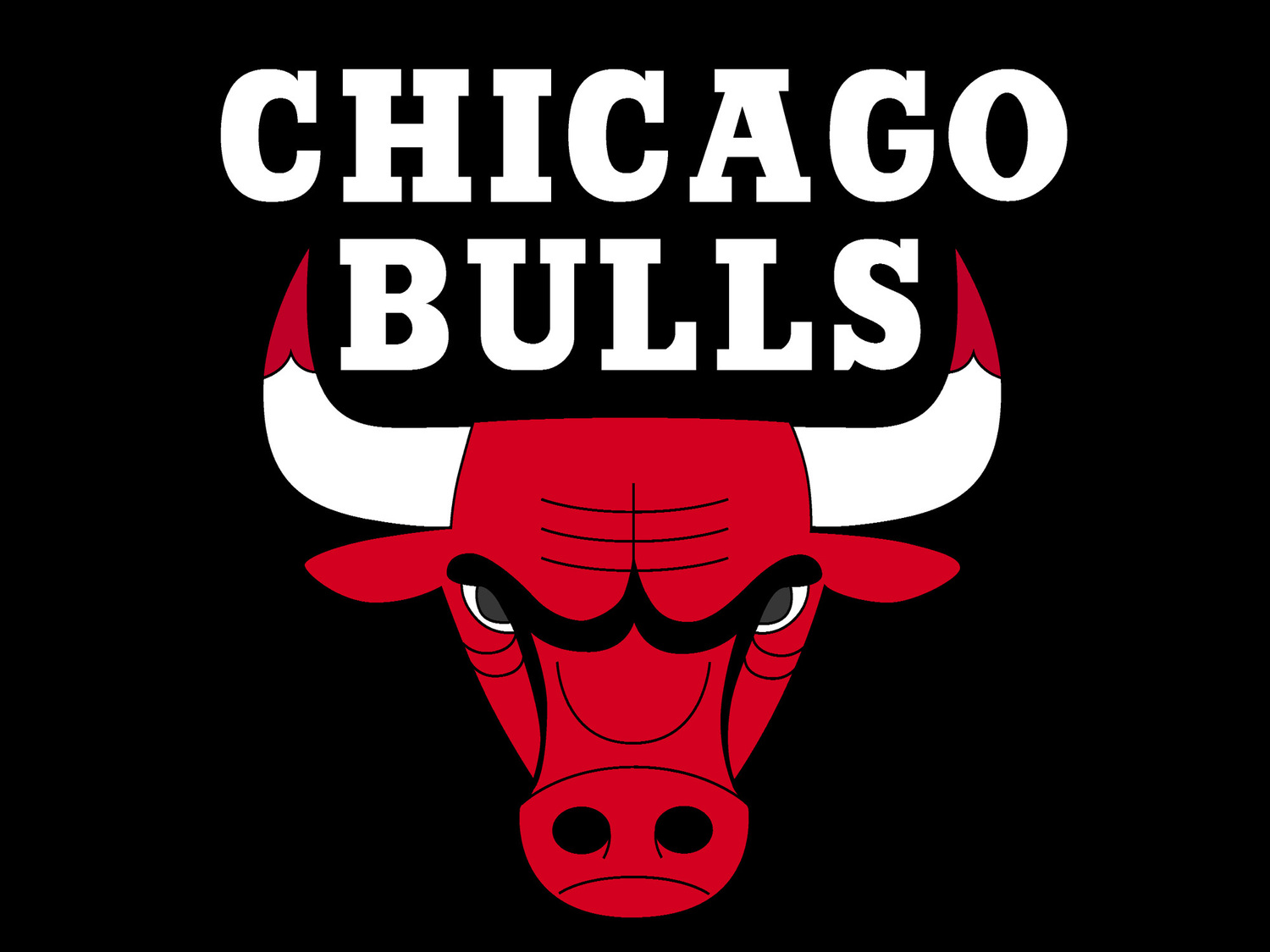 CHICSGO BULLS